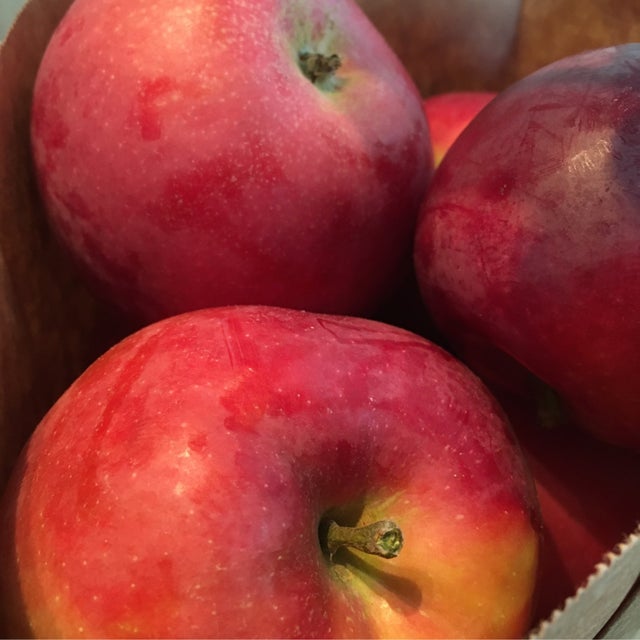 Fresh Mcintosh Apples, 5 lbs Tote